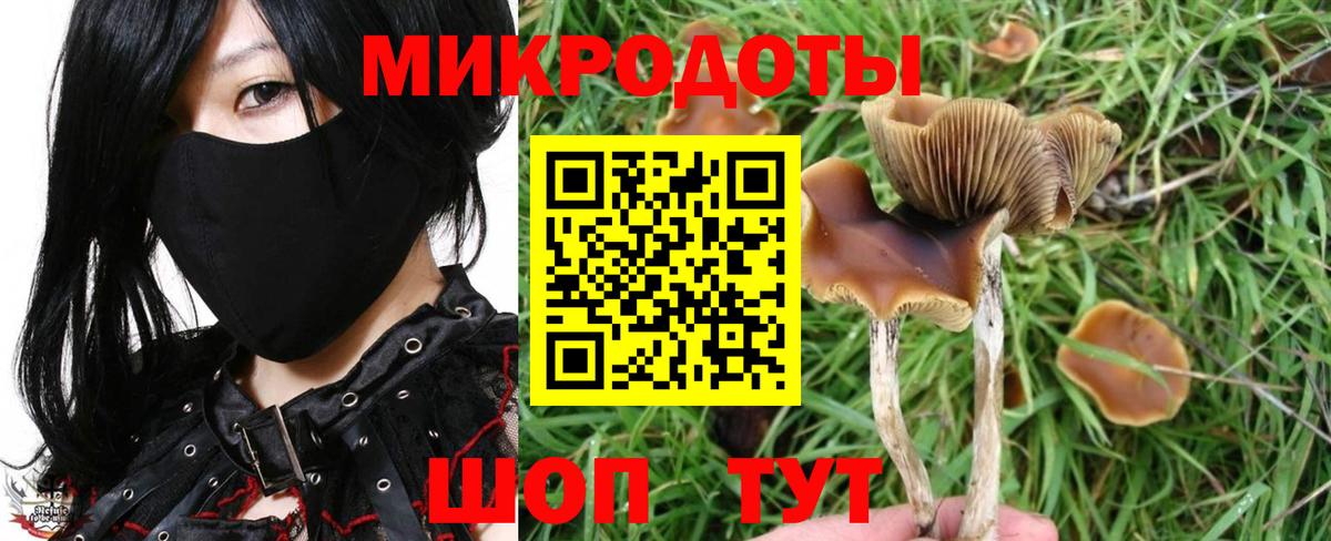 Галлюциногенные грибы GOLDEN TEACHER  Вход с VPN  Октябрьский 